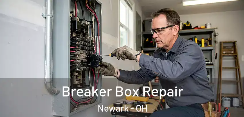 Breaker Box Repair Newark - OH